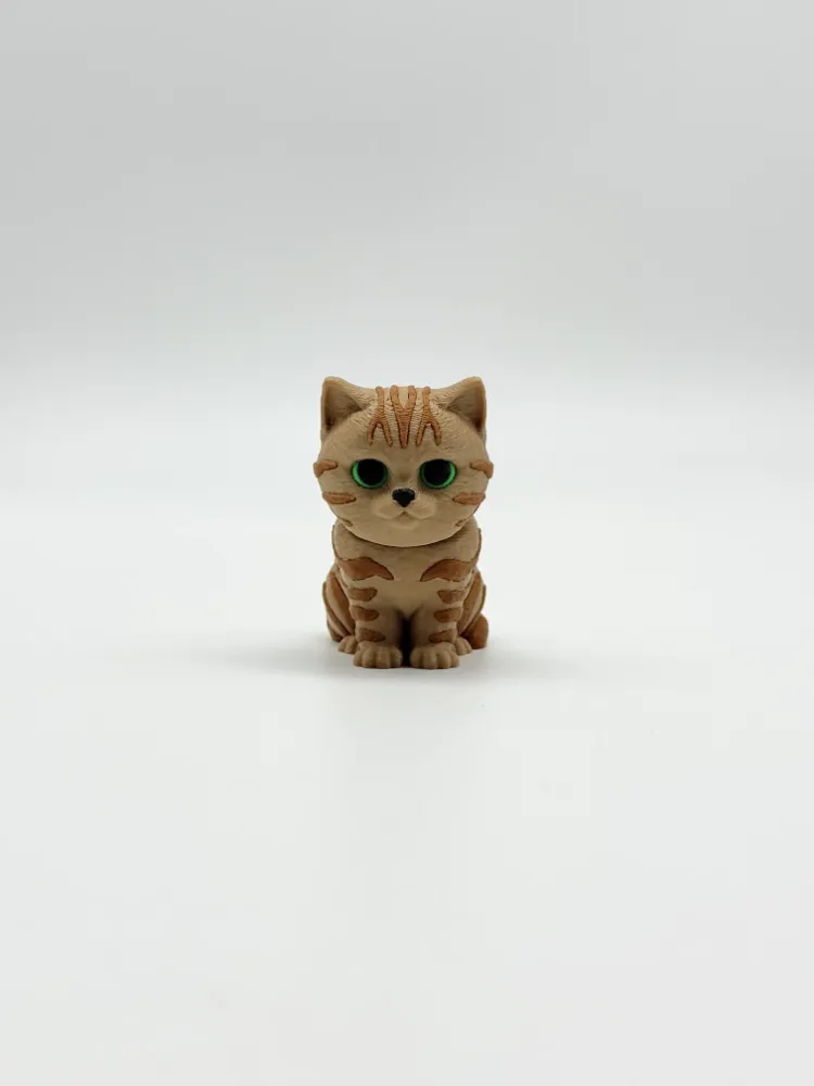 Tekir Kedi ve Oyuncu Çantalı Kedi Charm Anahtarlık ve Oyuncak Seti — 2