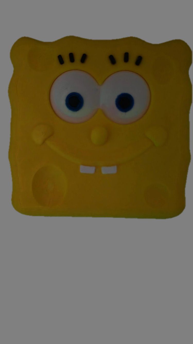 Sponge Bob Lamba Aç Kapat Anahtar Kapak Seti — 3